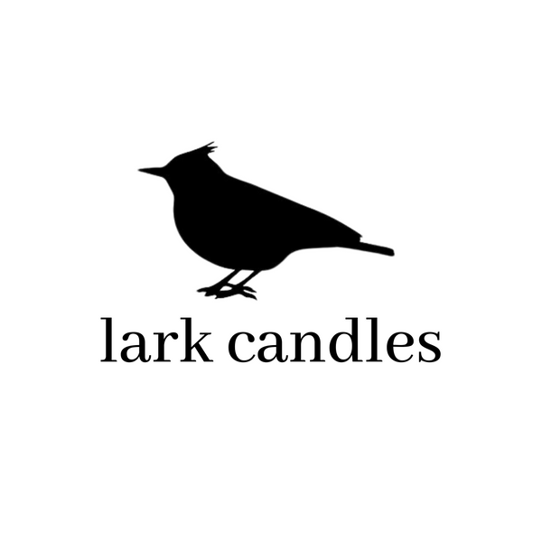 Lark Candles Teacher Grant Past Winners